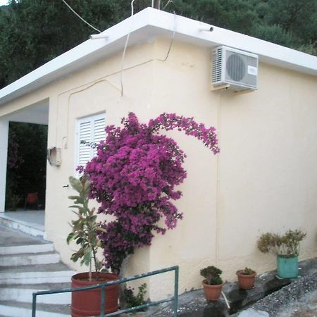 Faliraki Apartments 贝尼蔡斯 外观 照片