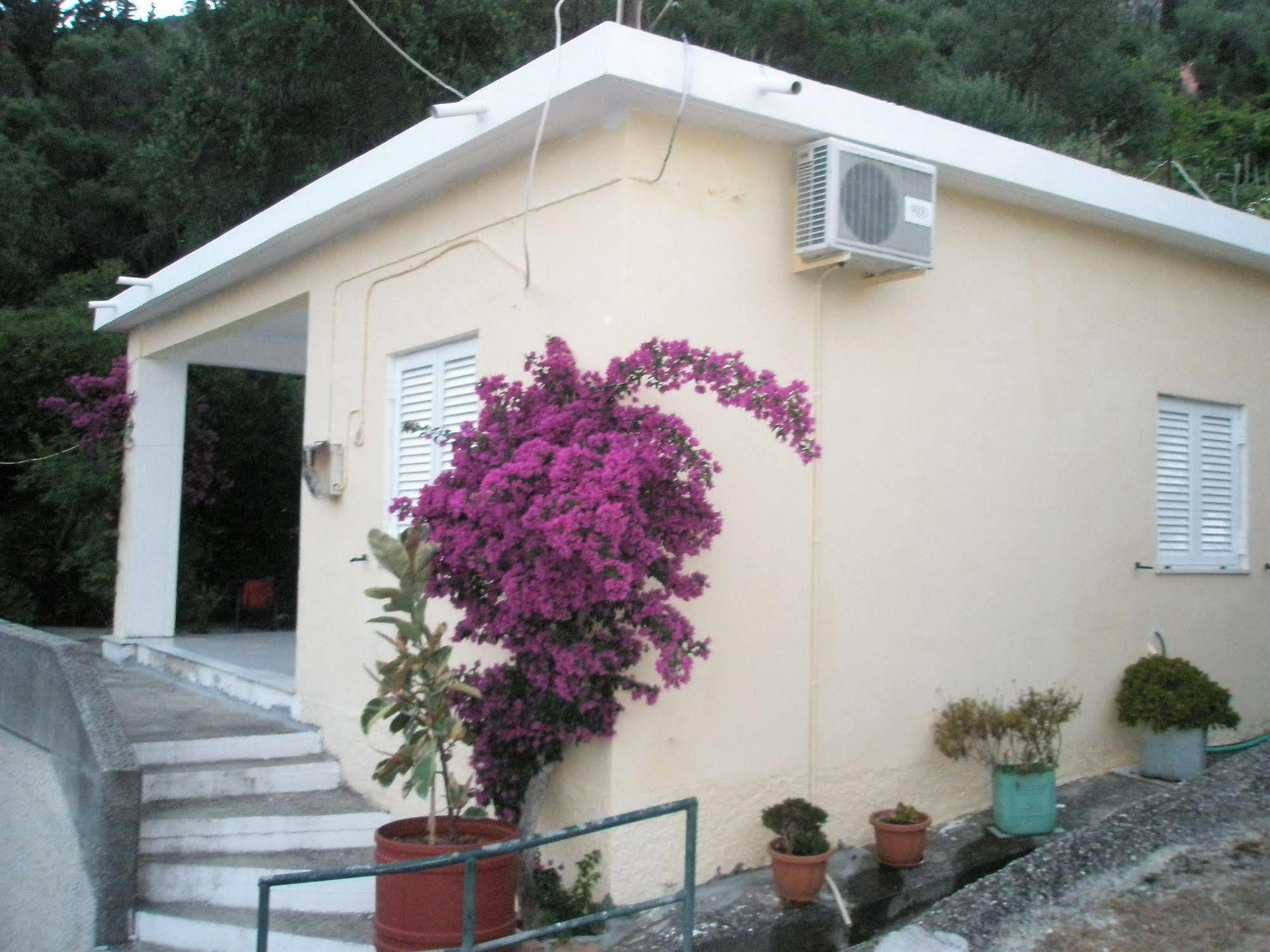 Faliraki Apartments 贝尼蔡斯 外观 照片